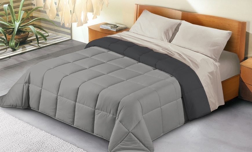 Image 6: Couette en microfibre 380 gr/m² réversible