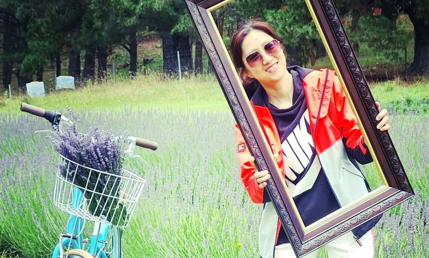 Image 3: Zig Zag Railway&Lavender Farm Tour,Haymarket:One-Day Scenic Experience