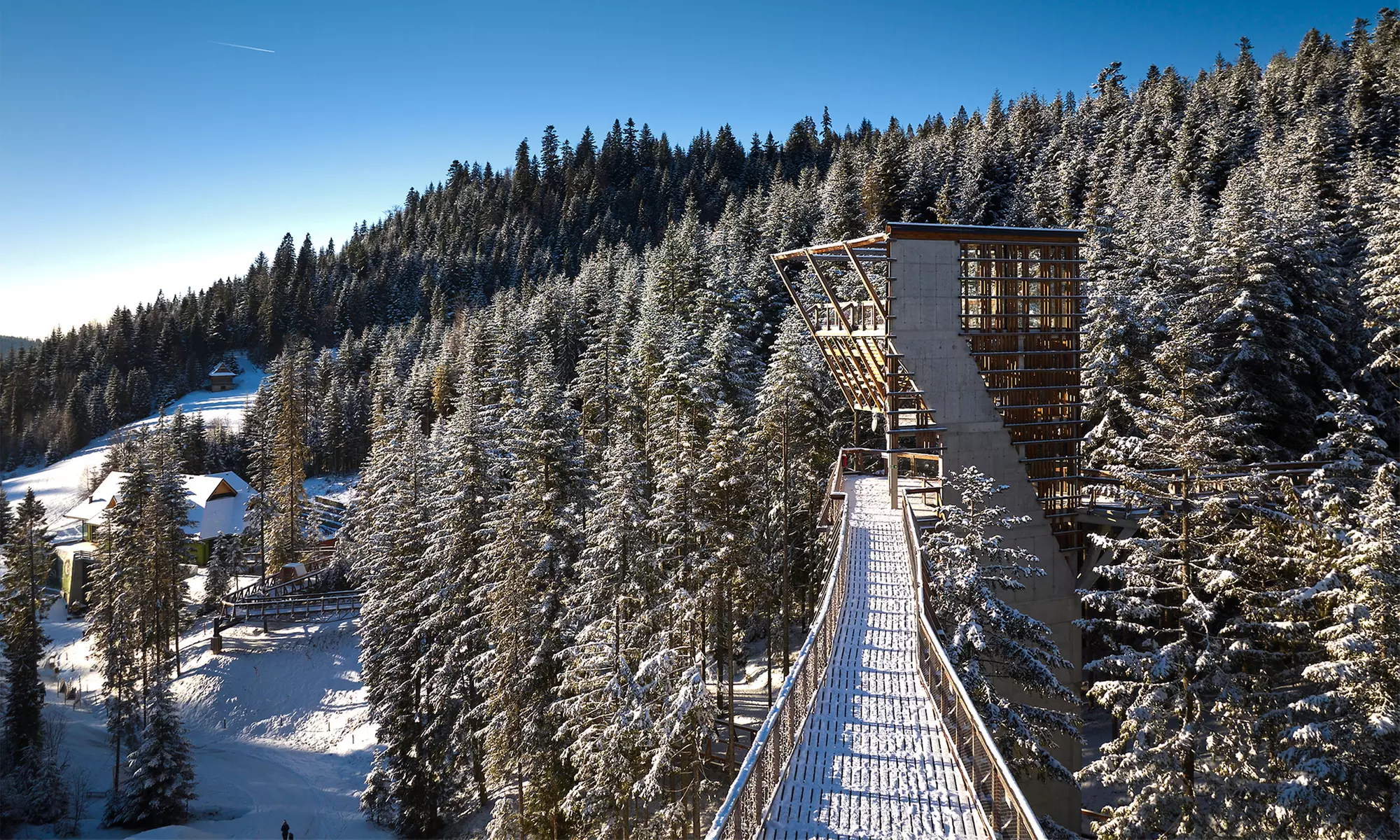 Odkryj magię natury w Centrum Przyrodniczo-Edukacyjnym Brama w Gorce