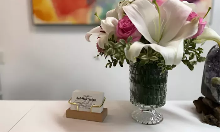 One Woman's Haircut, Hydration Treatment, Blow-Dry, Highlights & More