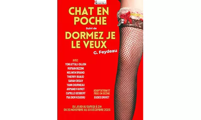 1 ou 2 places pour "Chat en poche" & "Dormez je le veux" au Théâtre de Nesle à Paris (jusqu'à 43% de remise) - Primary Image