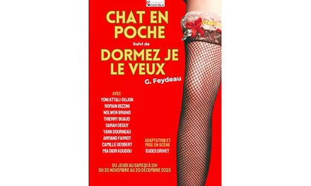 1 place adulte ou enfant pour "Chat en poche" suivi de "Dormez je le veux" - Compagnie Candela, "Chat en poche" & "Dormez je le veux", Théâtre Nesle à Paris