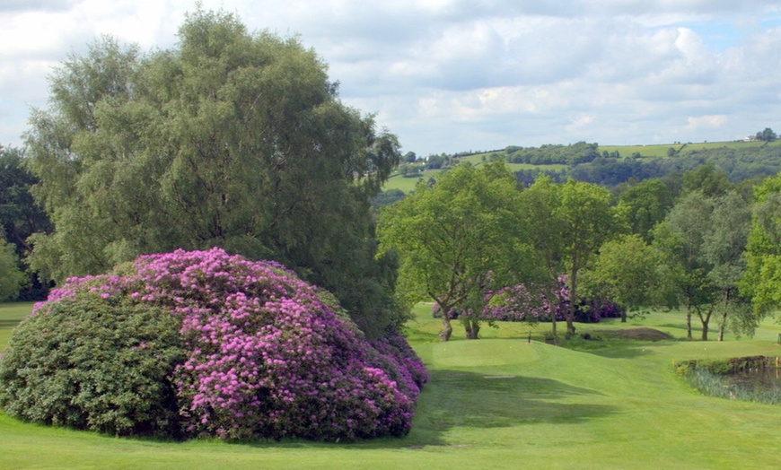 Image 4: 18 Holes of Golf