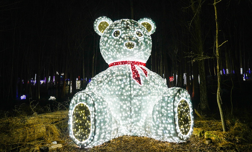 Image 3: Dazzling Winter City Lights Holiday Experience & Snow-Tubing