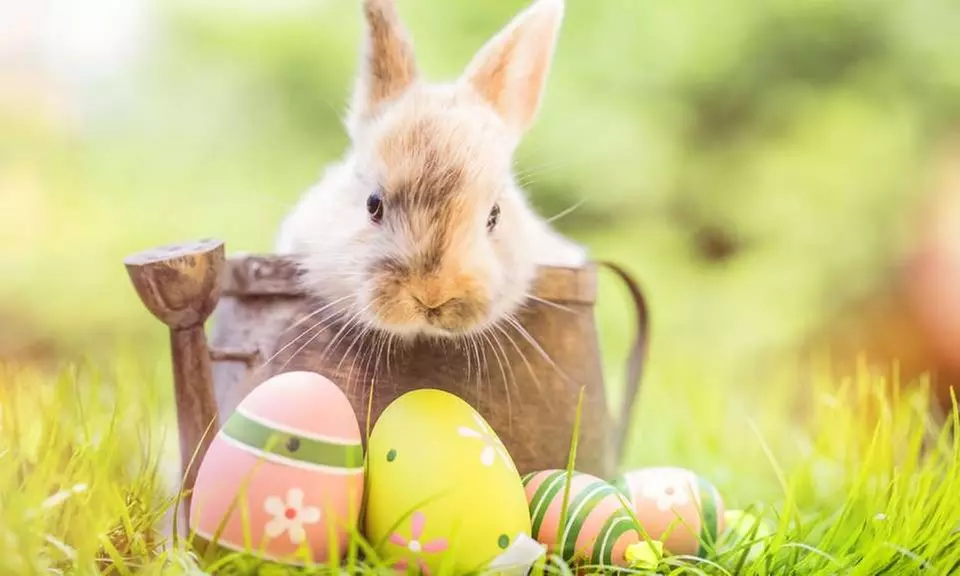 Digitalisierung von Dias