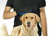 Pet Grooming Gloves Brush Dog Cat Hair Remover Mitt Massage Deshedding - Second Medium