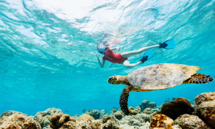 Image 3: Small-Group Circle Island Tour – Comfortable & Personalized Experience