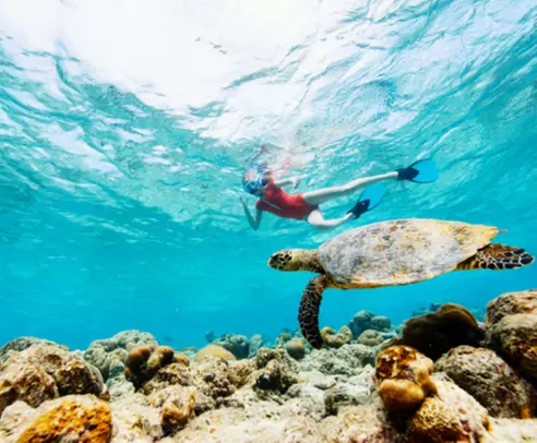 Small-Group Circle Island Tour – Comfortable & Personalized Experience