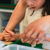 Image 4: Session de Bricks Academy ou Family au choix avec Bricks Factory