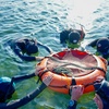 Image 2: Up to 36% Off on Snorkeling at Just Get Wet