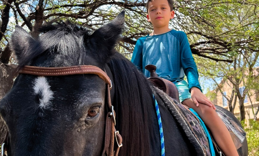Image 3: Fun Horse Riding Lesson or Summer Horse Camp