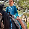 Image 3: Fun Horse Riding Lesson or Summer Horse Camp