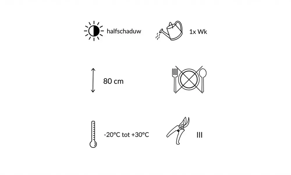 Mehrjähriges Stauden-Set „Isa“ mit 10 Pflanzen