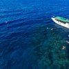 Image 3: The Ultimate Group Getaway: Your Private Ocean Adventure 