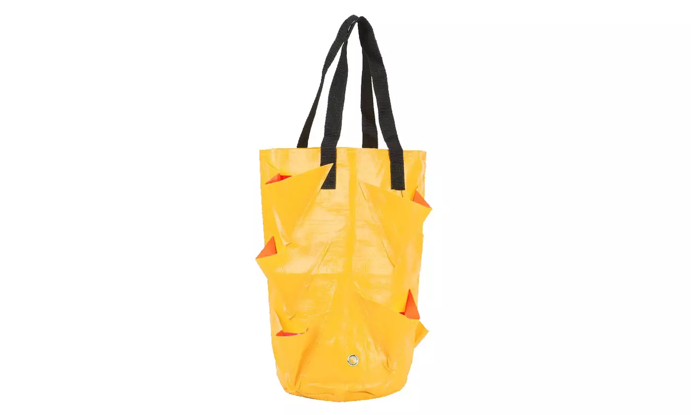 3 Gallon Strawberry Grow Bag Strawberry Plant Bag with 8 Side Planting Pockets