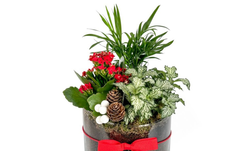 Image 3: Festive Trio Glass Bowl Arrangement