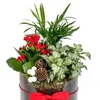 Image 3: Festive Trio Glass Bowl Arrangement