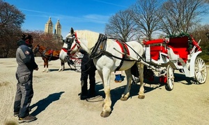 Experience Iconic Central Park with a Classic Horse-Drawn Carriage Ride
