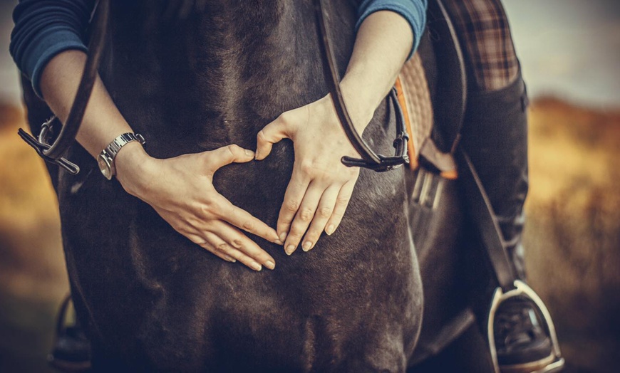 Image 2: Rutas a caballo por el río Jarama para 2 o 4 personas