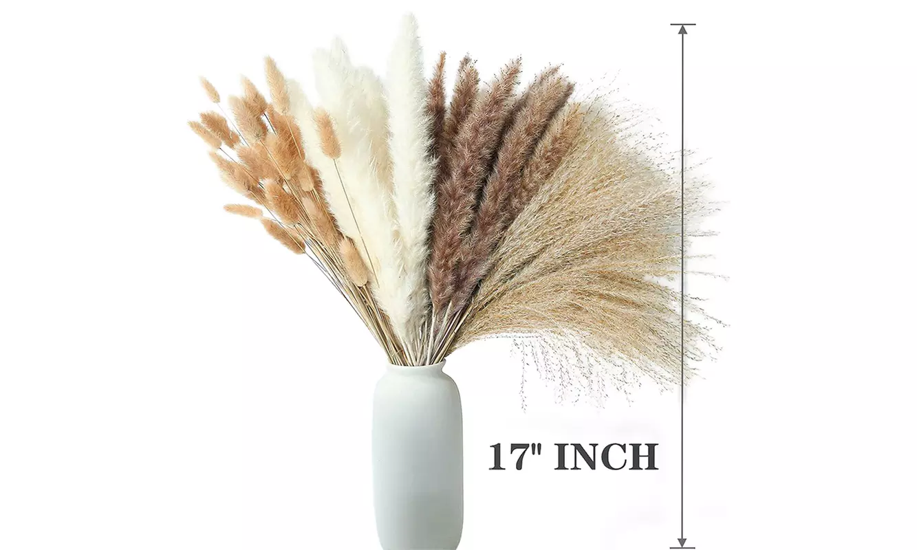 100 Pcs 17 inch Natural Dried Pampas Grass Boho Home Decor