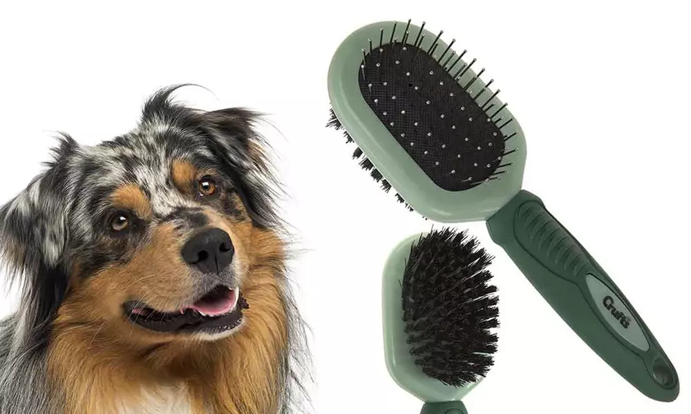 Brosse de toilettage pour chien - Primary Image