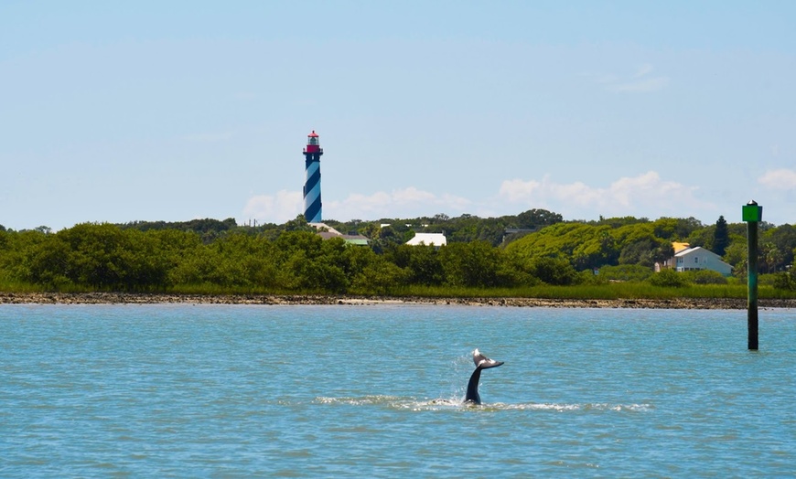 Image 3: Dolphin Watch & Historical Tour at St. Augustine Harbor