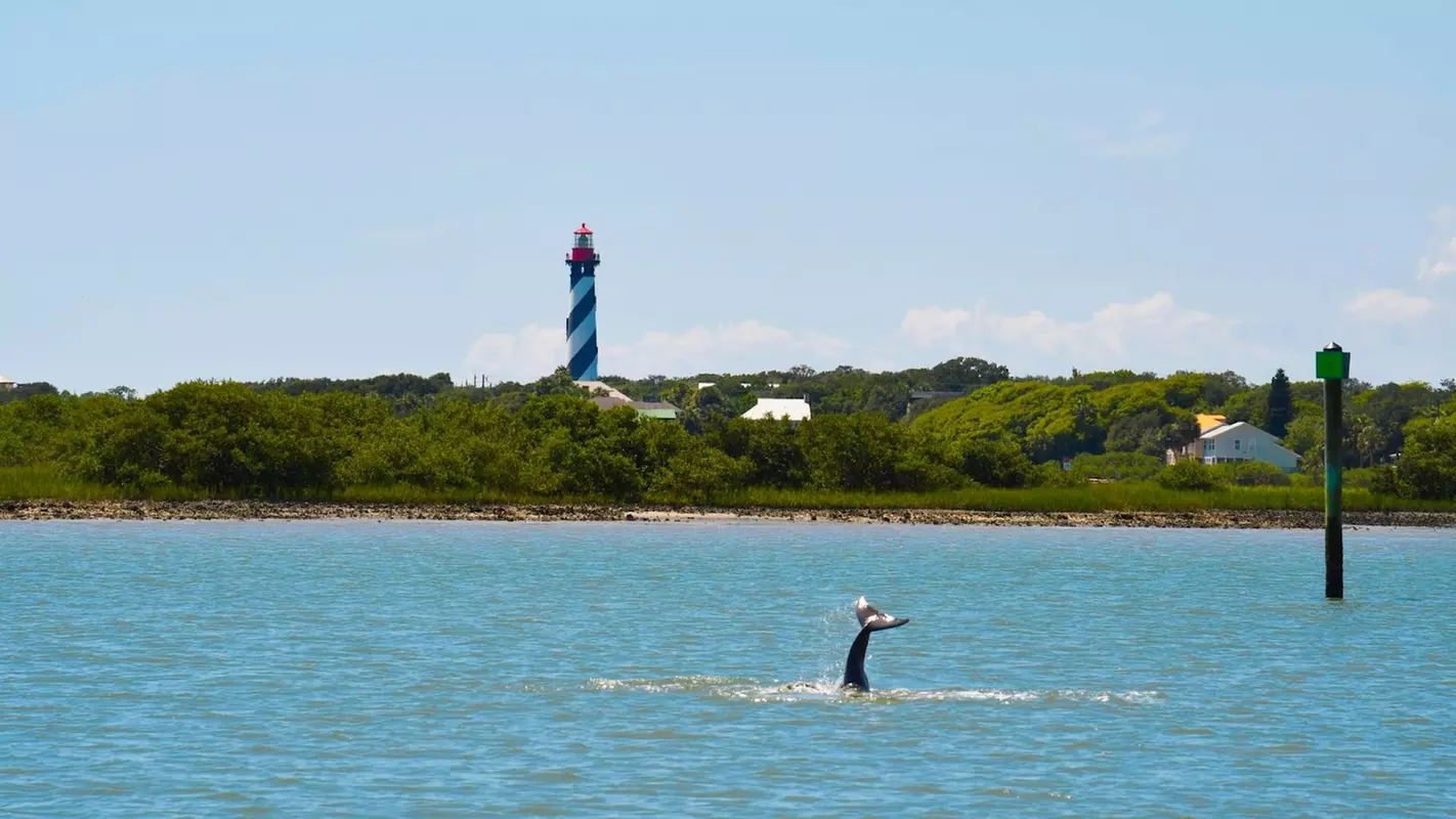 Dolphin Watch & Historical Tour at St. Augustine Harbor