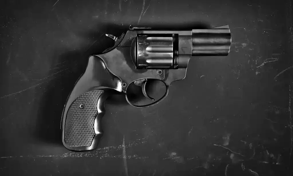 Online Safety Course, One Hour Basic Fundamentals of Shooting & More