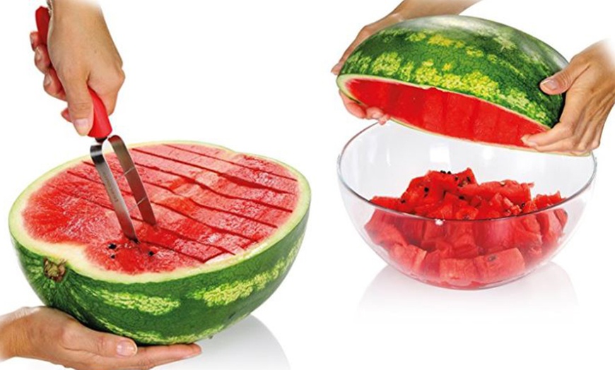 Image 2: Tescoma Melon Cutter