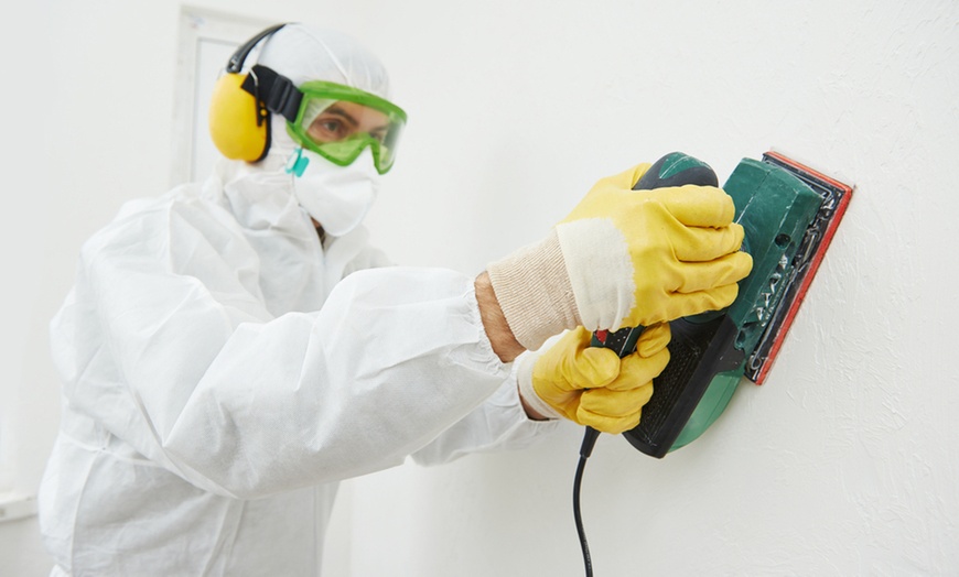 Image 1: Protect Your Home: Mold Inspection or $250 Towards Removal Services