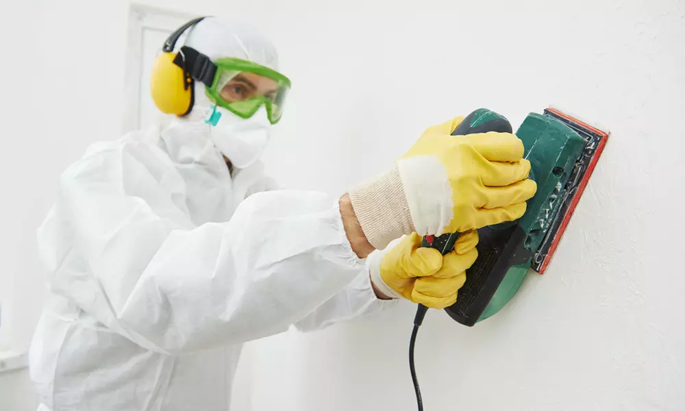Protect Your Home: Mold Inspection or $250 Towards Removal Services