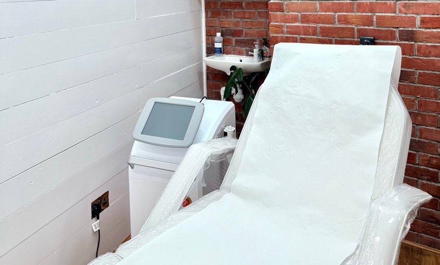 Image 3: Ice Laser Hair Removal for Small to Large Body Areas