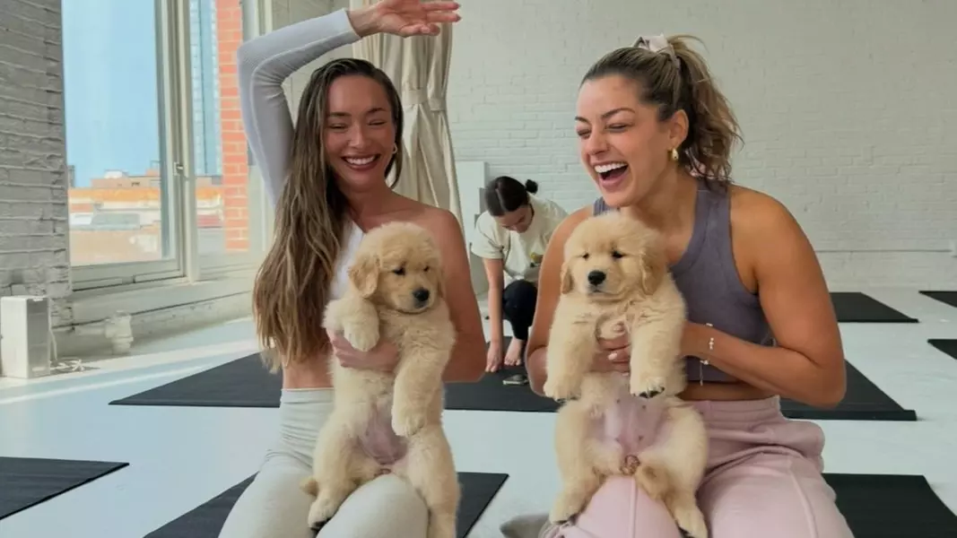 Find Your Zen (and a Puppy Friend) - At Pawsitive Wellness Puppy Yoga! - Second Medium