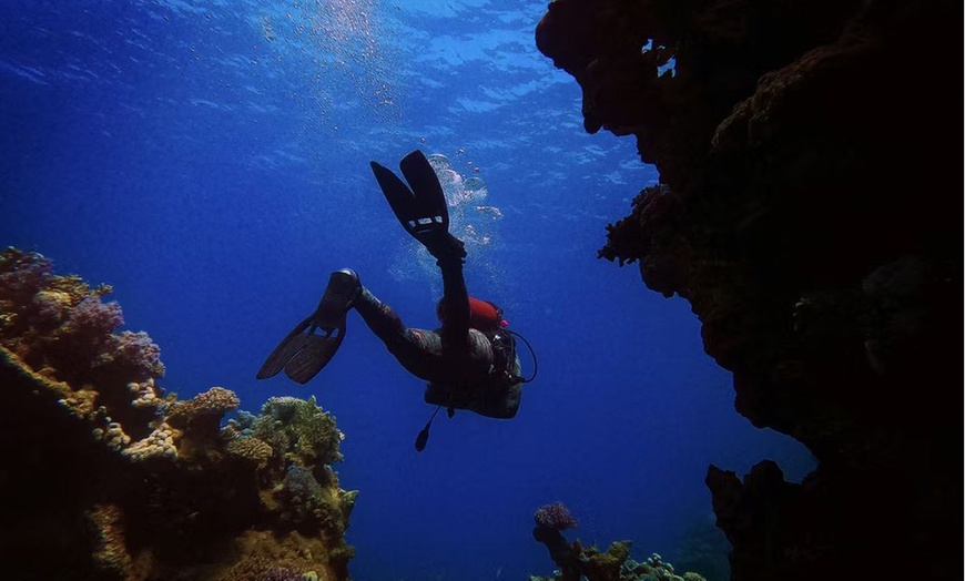Image 7: Descubre el fondo marino con un bautismo de buceo para 1 o 2 personas