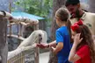 Admission Tickets to Houston Aquarium and Animal Adventure plus Arcade Credits - Up to 39% Off! - Second Medium