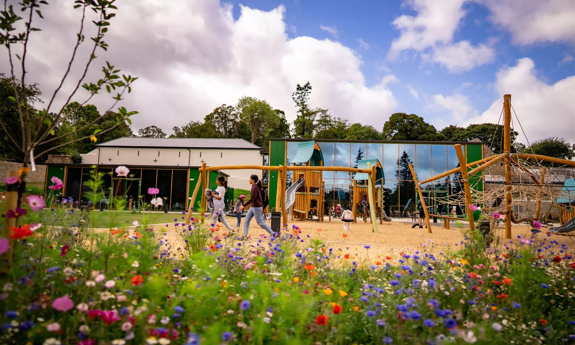 Elevated Treetop Walk & Viewing Tower – Panoramic Wicklow Views