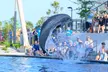 Enjoy General Admission or Membership at Gulfarium Marine Adventure Park in Fort Walton (Up to 30% Off) - Second Medium