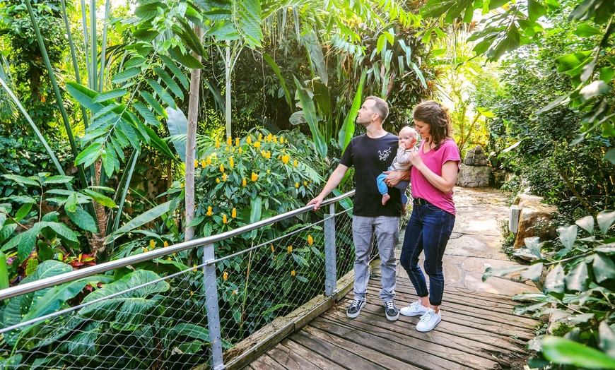 Image 3: Ticket für 1 Kind oder 1 Erwachsenen für das  „SEA LIFE Hannover“