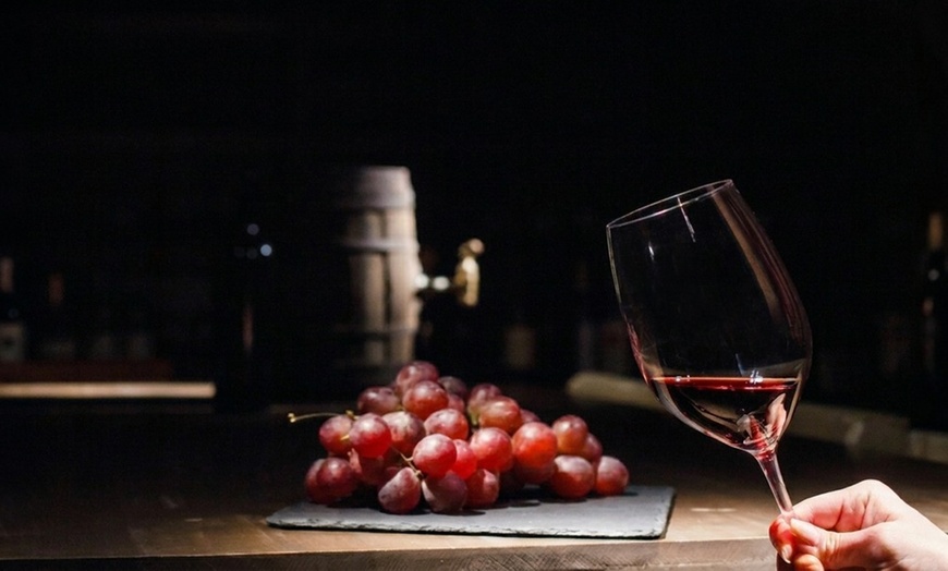 Image 10: Guided Wine Tasting with Souvenir Bottle Credit for Two or Four