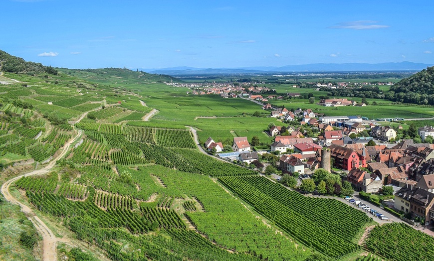 Image 11: Saint Hippolyte: 2-5 Nächte inkl. Frühstück und Weinprobe