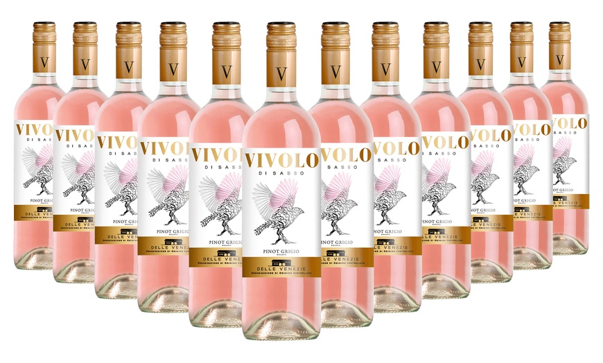 Image 4: 6 ou 12 bouteilles de vin 'Pinot Grigio'