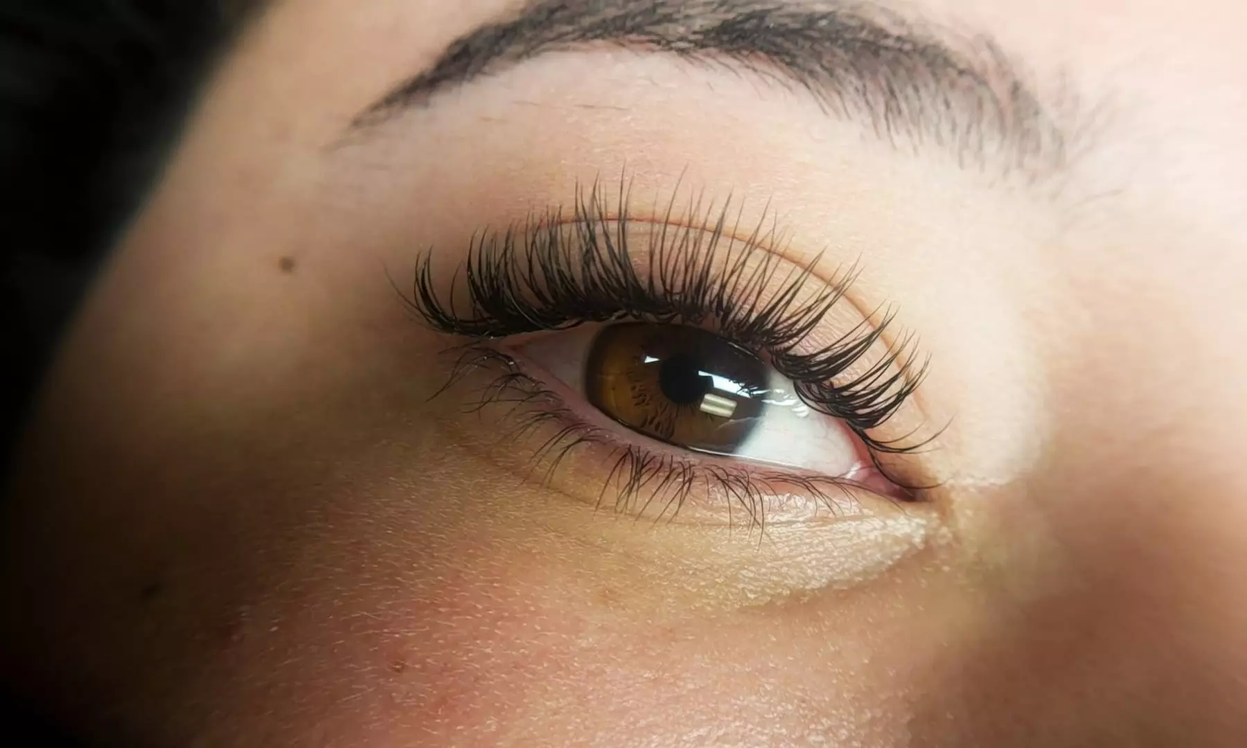 Classic, Hybrid, Volume Individual Lashes Or Lash Lift with Tint Combo