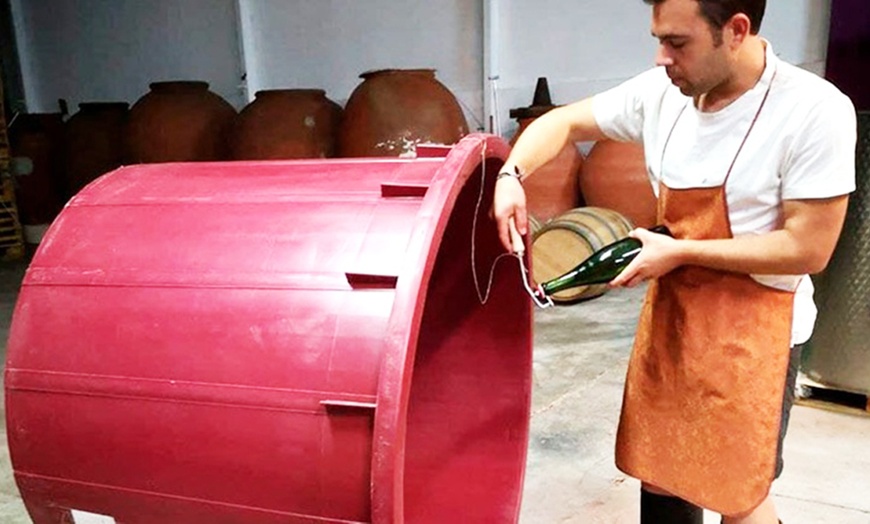 Image 6: Visita a bodega de 1 hora y media con cata de vino para 2 o 4 personas