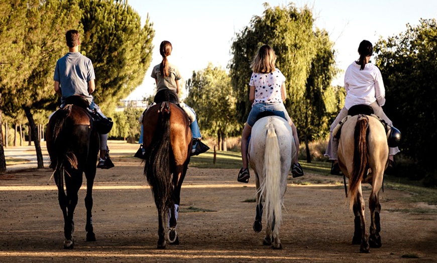 Image 3: Ruta a caballo de 90 minutos por el Aljarafe hasta Itálica