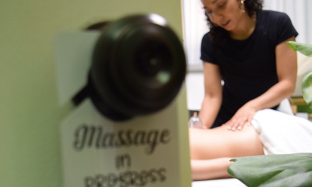 60-Minute Therapeutic Massage - Higher Sol Massage and Wellness