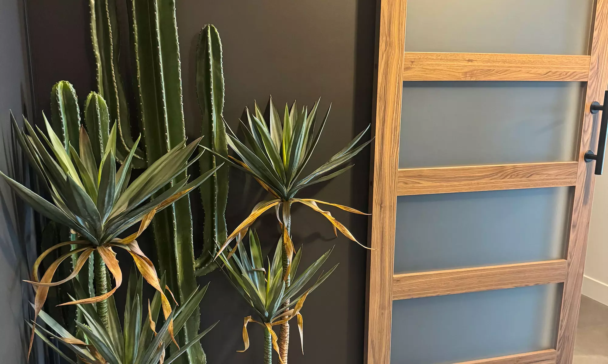 One, Two, or Three Sessions: Desert Quench Hydrafacial (1 Hour)