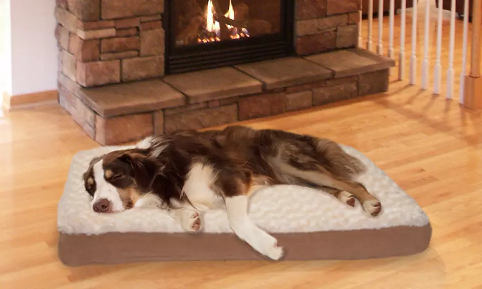 Deluxe Ultra-Plush Orthopedic Pet Bed - Primary Image