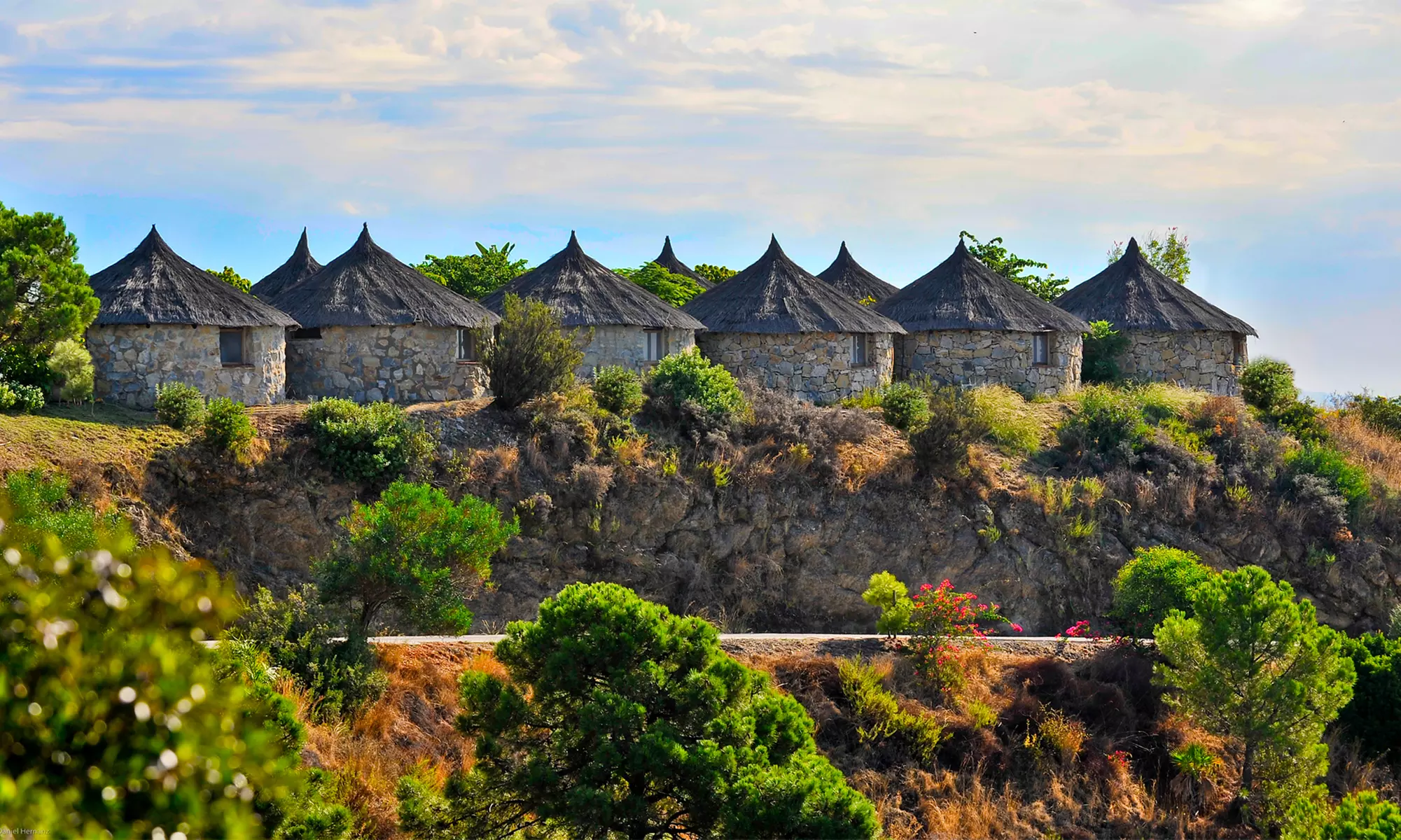 Entrada de día a elegir a Selwo Marina, Aventura y/o teleférico