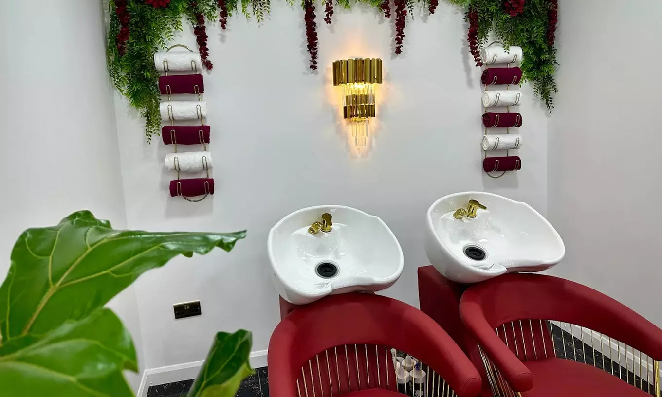 Up to 50% Off on Salon - Hair Colour / Highlights at Queen Land Clinic