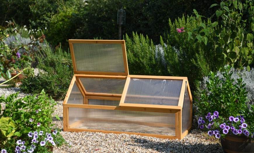 Image 7: Garden Gear Wooden 3-Tier Greenhouse or XL Cold Frame